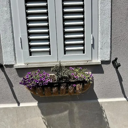 Le Col Sole Da Silvia Interno 1 Bed and breakfast Cisterna di Latina